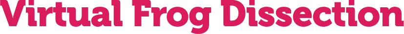 Virtual Frog Dissection